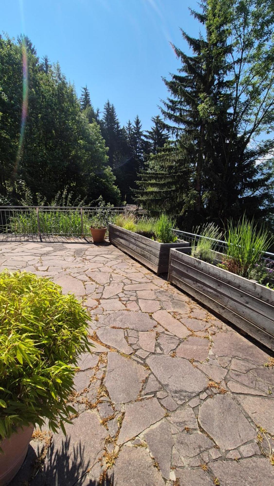 Ferienwohnungen Bergart Iselsberg Exterior foto